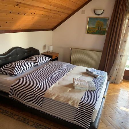 Vila Djordjevic - Priroda Vas Okruzuje Brus Екстериор снимка