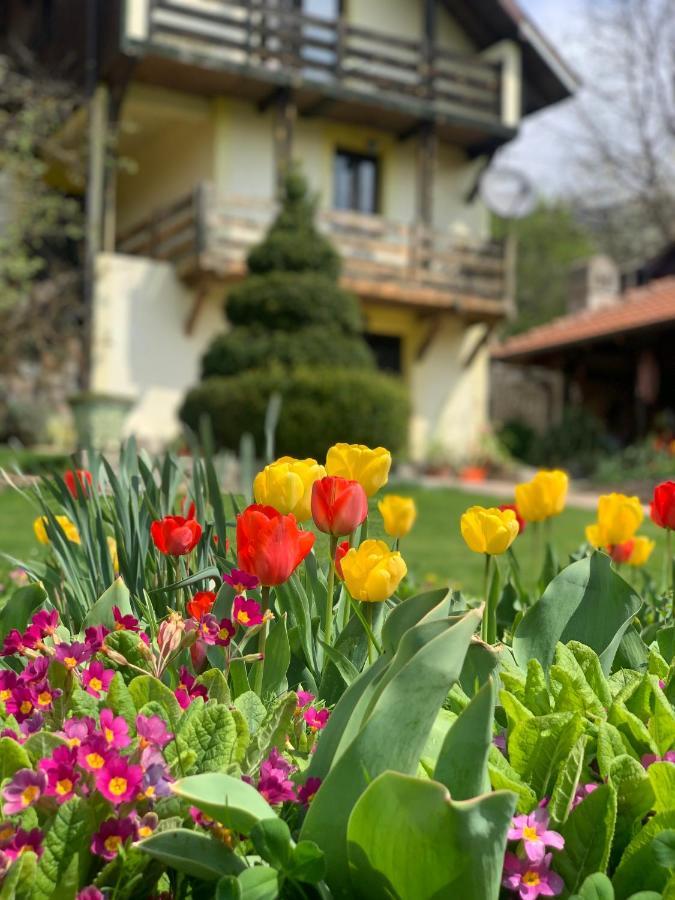 Vila Djordjevic - Priroda Vas Okruzuje Brus Екстериор снимка