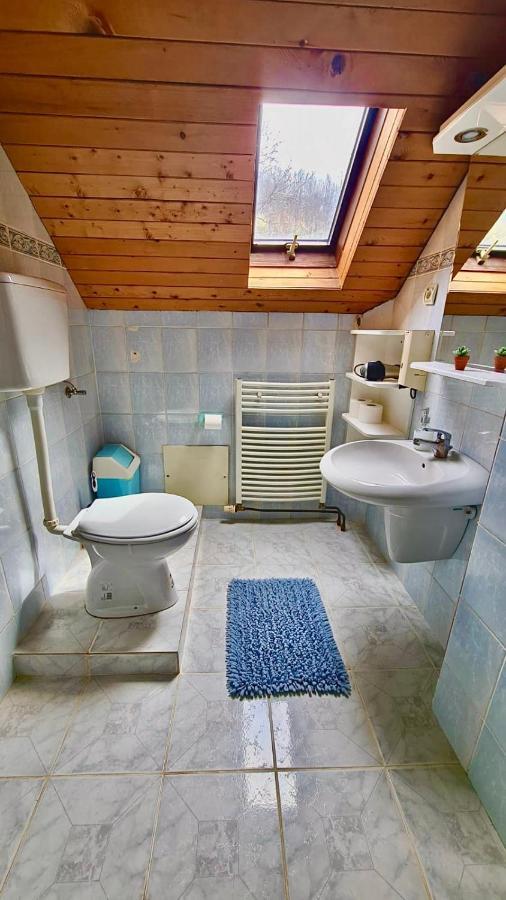 Vila Djordjevic - Priroda Vas Okruzuje Brus Екстериор снимка